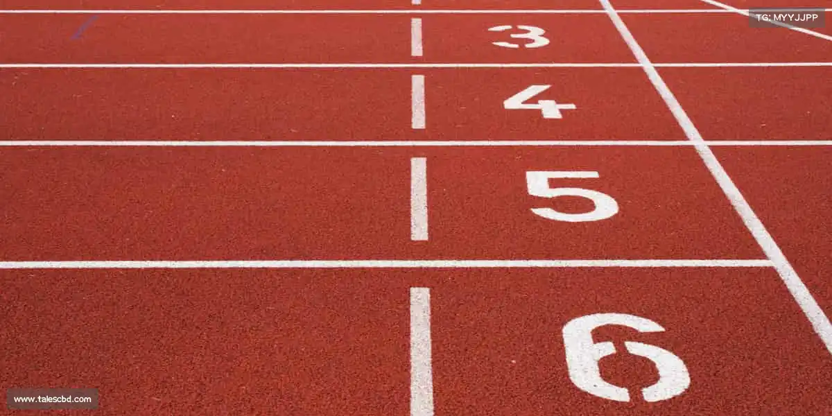 tvt体育🤼‍♂️穿上装备，踏上赛场 —— 此刻，你就是焦点！